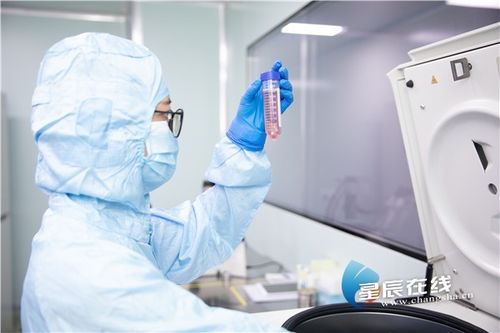 尖端技術云集，生物醫藥在長沙經開區如何乘風破浪——聚焦生物工程技術開發